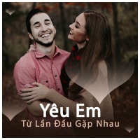Yêu Em Từ Lần Đầu Gặp Nhau - Various Artists
