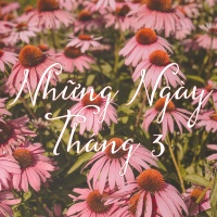 Những Ngày Tháng 3 - Various Artists