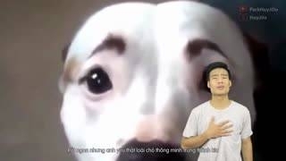 Thịt Chó Không Ngon Đâu (Huy JOo Chế) - Huy JOo