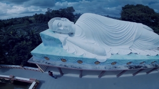 Hoa Rơi Cửa Phật - Lee Yang, Sino, Jombie