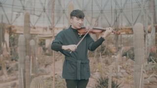 Cô Bé Mùa Đông (Violin Cover) - Hoàng Rob