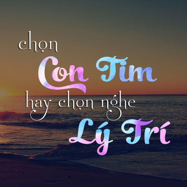 Hình ảnh có liên quan