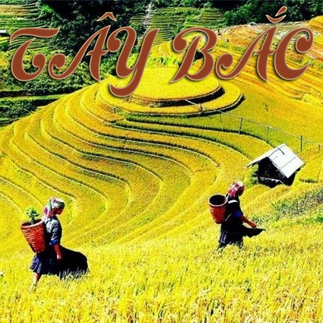 Những Bài Hát Hay Nhất Về Miền Núi Tây Bắc - Various Artists