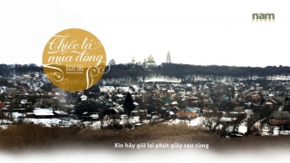 Chiếc Lá Mùa Đông (MV Lyric) - Phạm Hoài Nam
