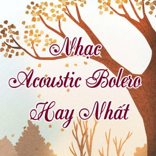 Nhạc Acoustic Bolero Hay Nhất - Various Artists