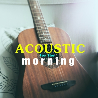 Acoustic Morning - Various Artists